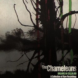 The Chameleons, Dreams In Celluloid