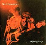The Chamaleons « Tripping Dogs » - (Glass Pyramid/ A.P.T 
		    Distribution)