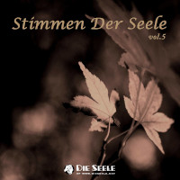 Compilation, Stimmen Der Seele